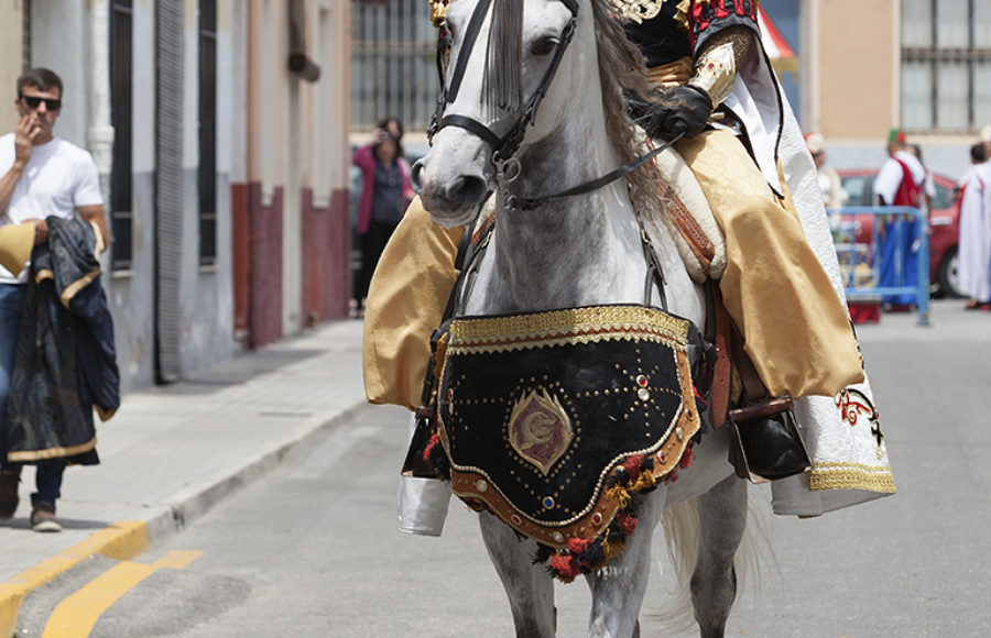 Capitanía 2018